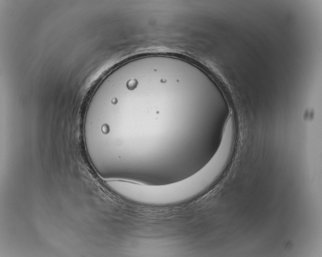 X0000110931173200907091514