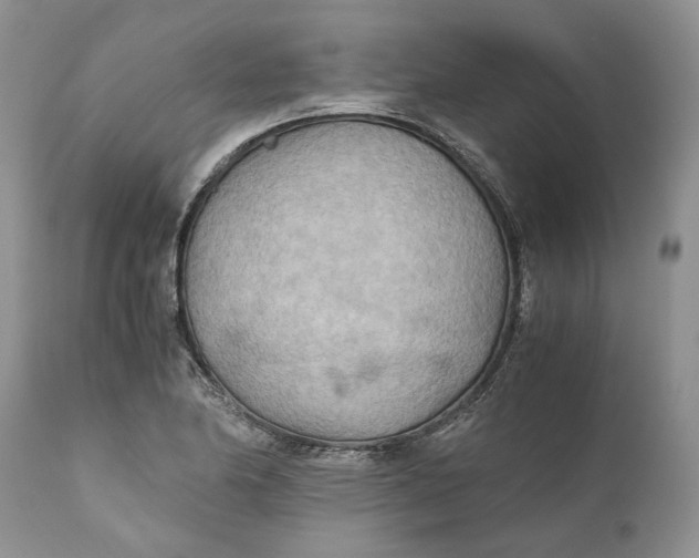 X0000110931174200907091514