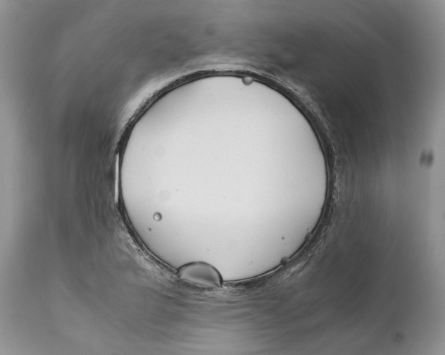 X0000110931175200907091514