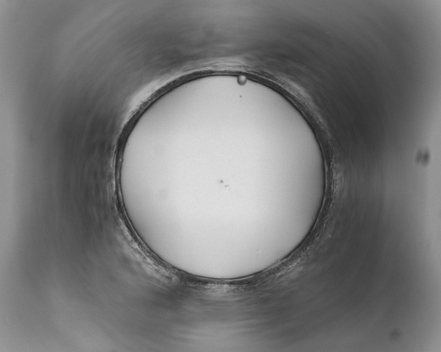 X0000110931176200907091514