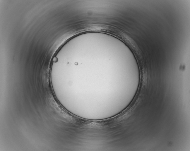 X0000110931178200907091514