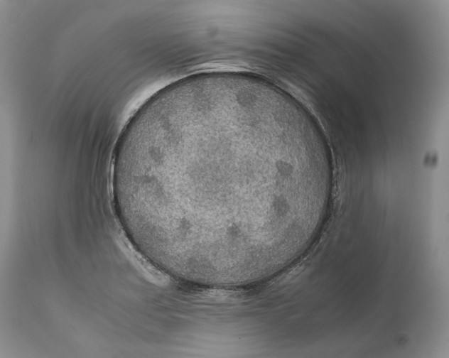 X0000110931179200907091514