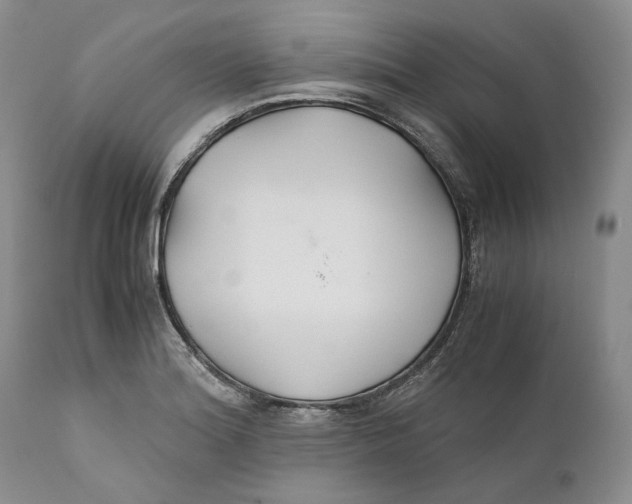 X0000110931180200907091514