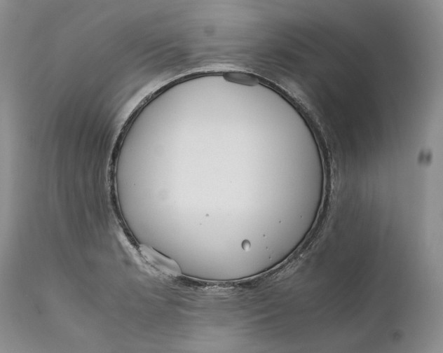 X0000110931181200907091514