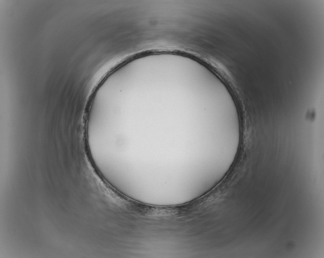 X0000110931183200907091514