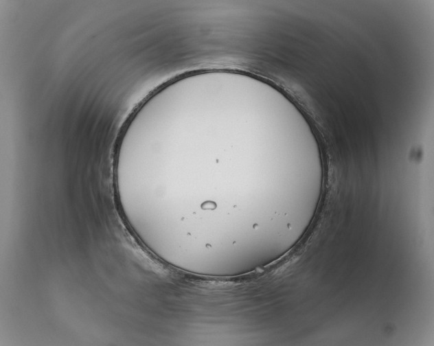 X0000110931184200907091513