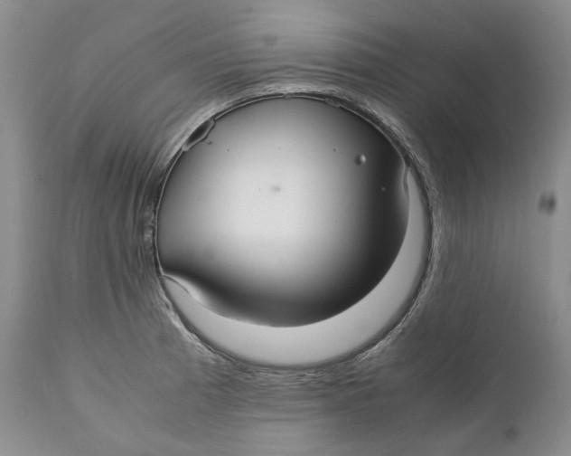 X0000110931185200907091513