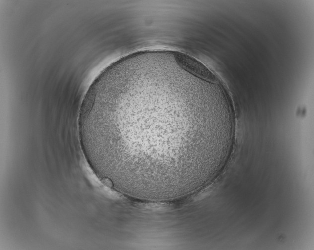 X0000110931189200907091513