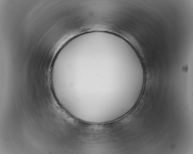 X0000110931190200907091513
