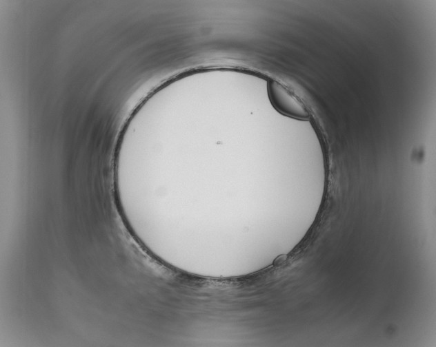 X0000110931191200907091513