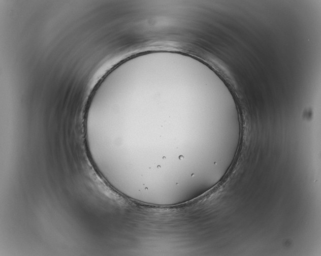 X0000110931192200907091513