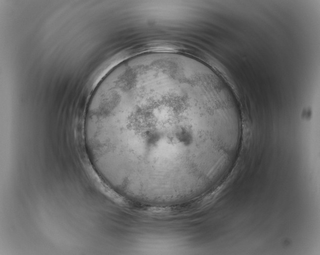 X0000110931194200907091513