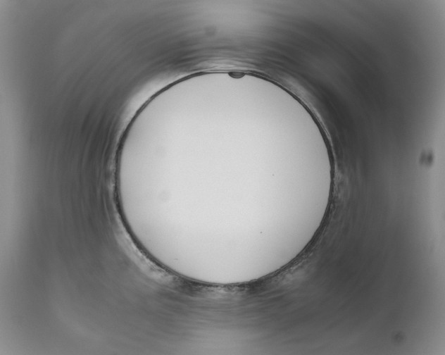 X0000110931195200907091513