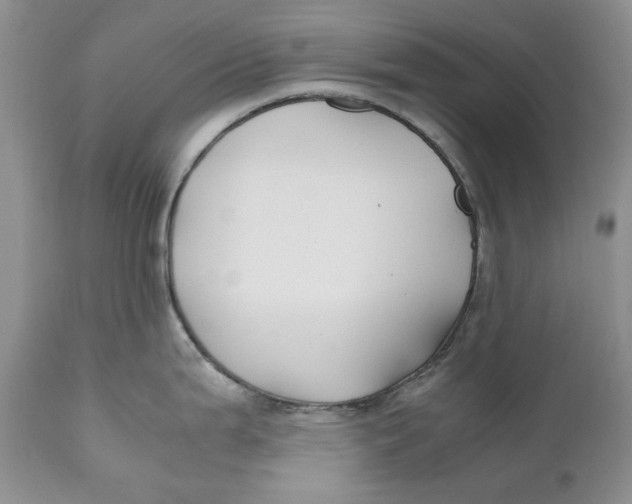 X0000110931199200907091513