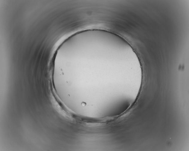 X0000110931200200907091513