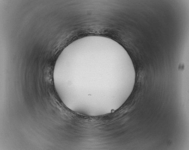 X0000110931202200907091513