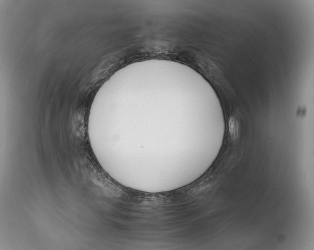 X0000110931203200907091513