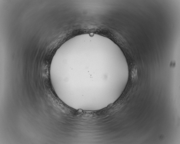 X0000110931204200907091513