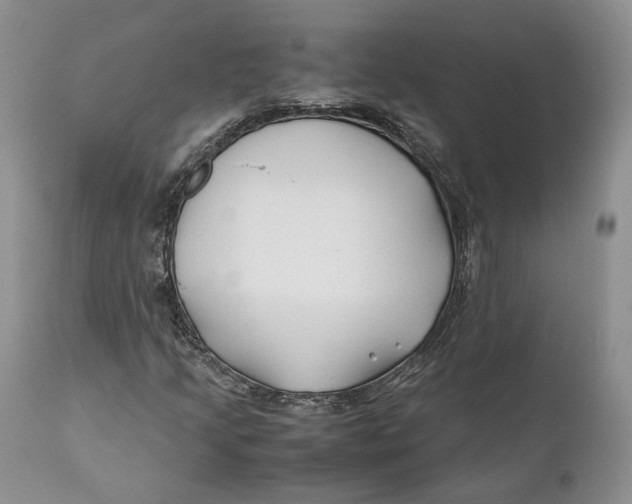 X0000110931205200907091513