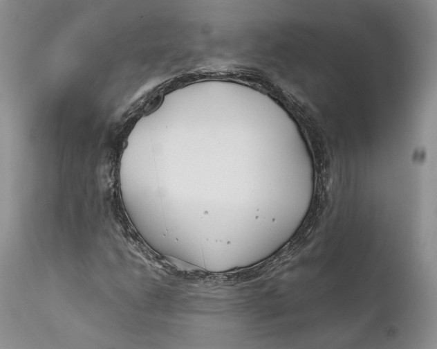 X0000110931206200907091513