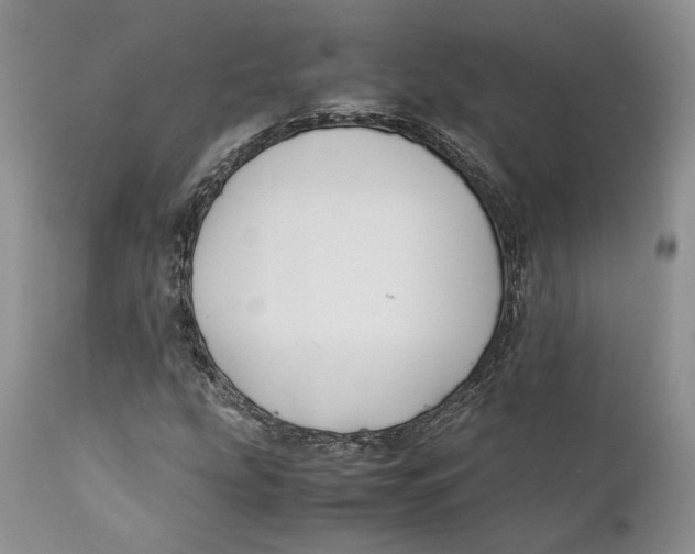 X0000110931207200907091513