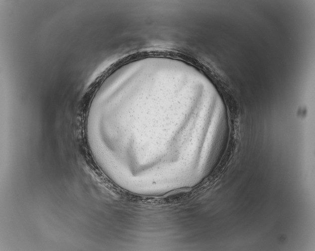 X0000110931208200907091513