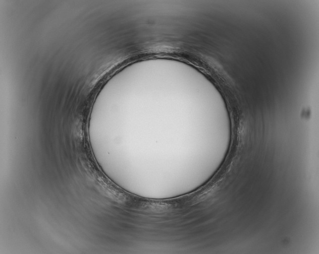 X0000110931209200907091513