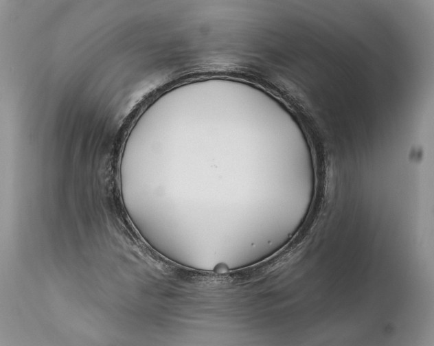X0000110931210200907091513