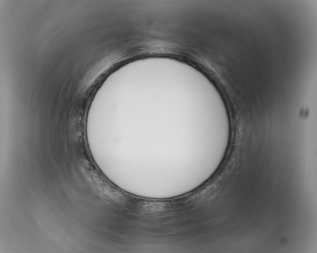 X0000110931211200907091513