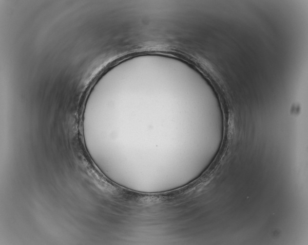 X0000110931212200907091513