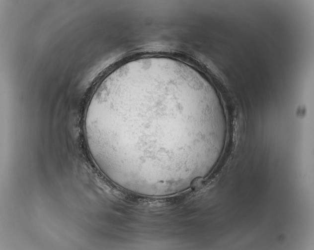 X0000110931213200907091513