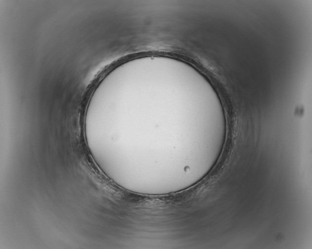 X0000110931214200907091513