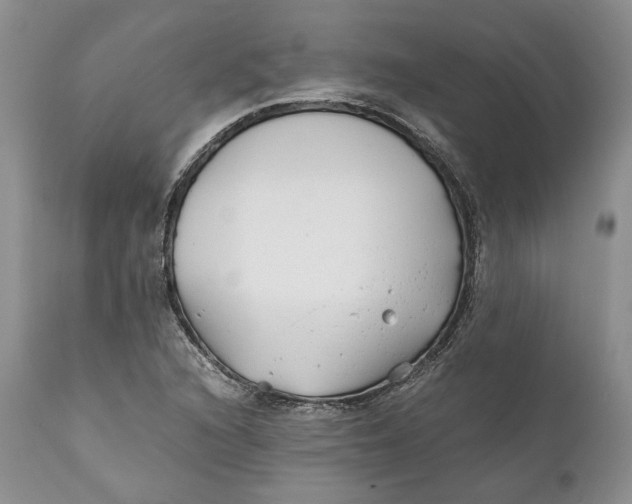 X0000110931216200907091513