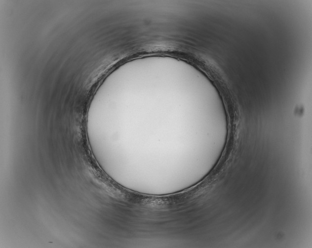 X0000110931217200907091513