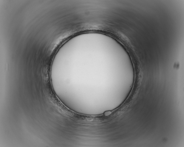 X0000110931218200907091513