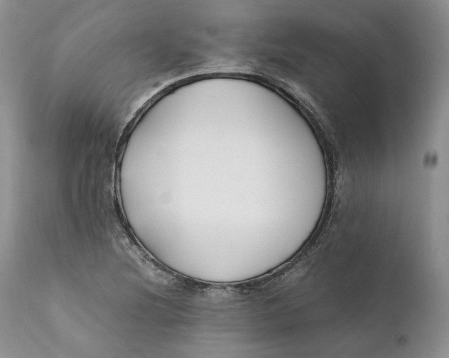 X0000110931220200907091513