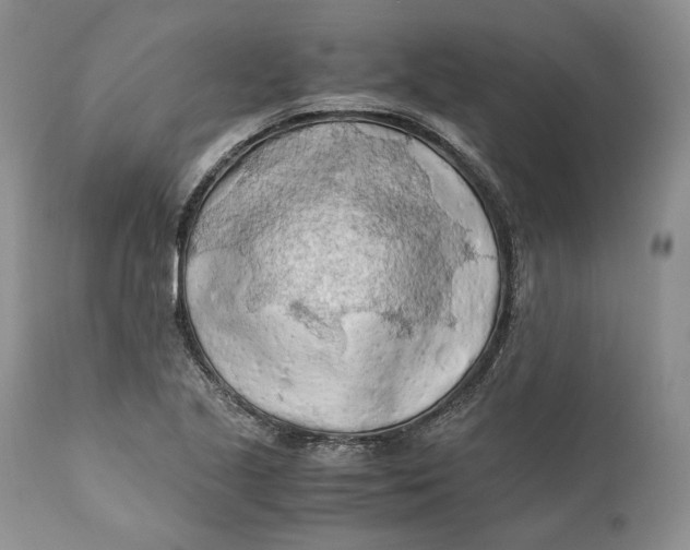X0000110931221200907091513