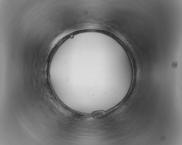 X0000110931222200907091513