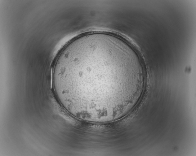 X0000110931223200907091513