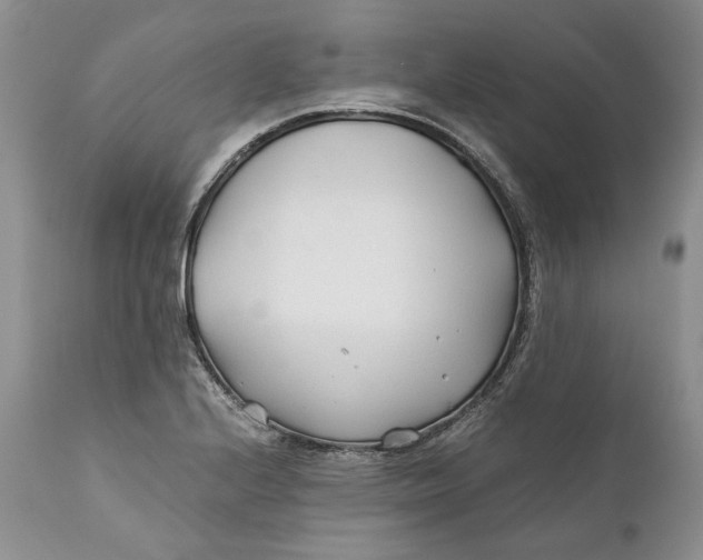 X0000110931224200907091513