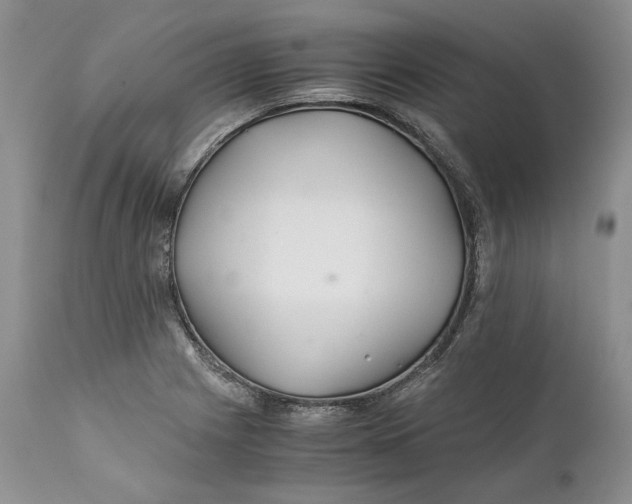 X0000110931225200907091513