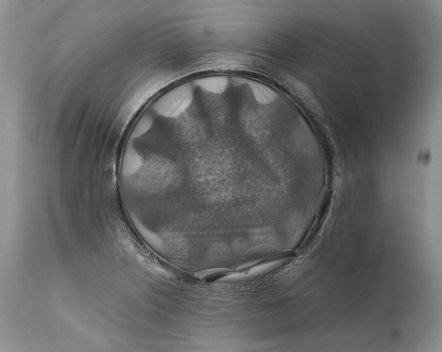 X0000110931226200907091513