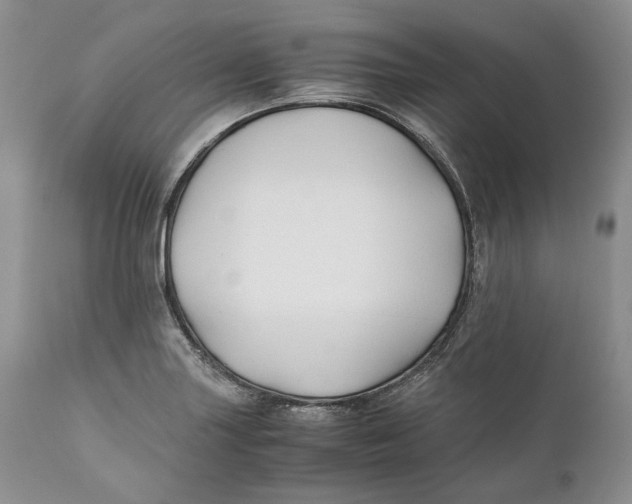 X0000110931227200907091513