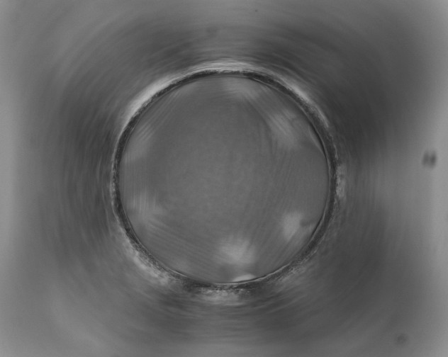 X0000110931229200907091513