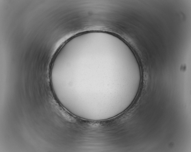 X0000110931230200907091513