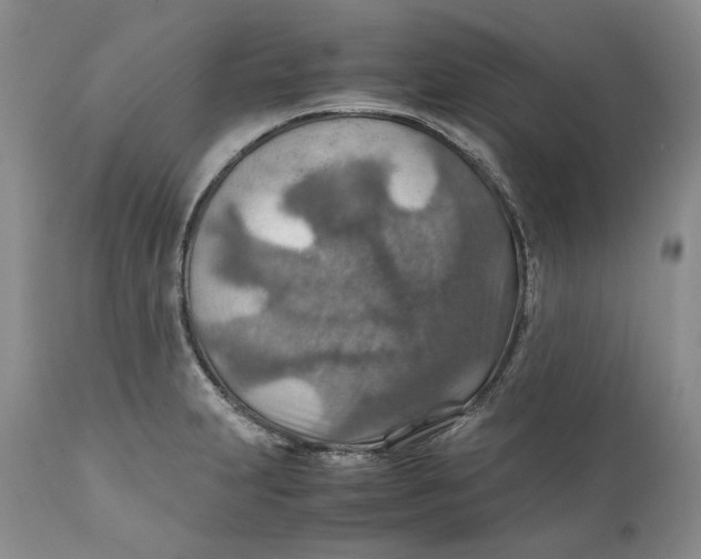 X0000110931231200907091513