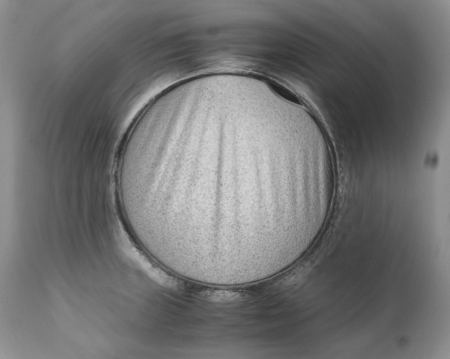 X0000110931235200907091513