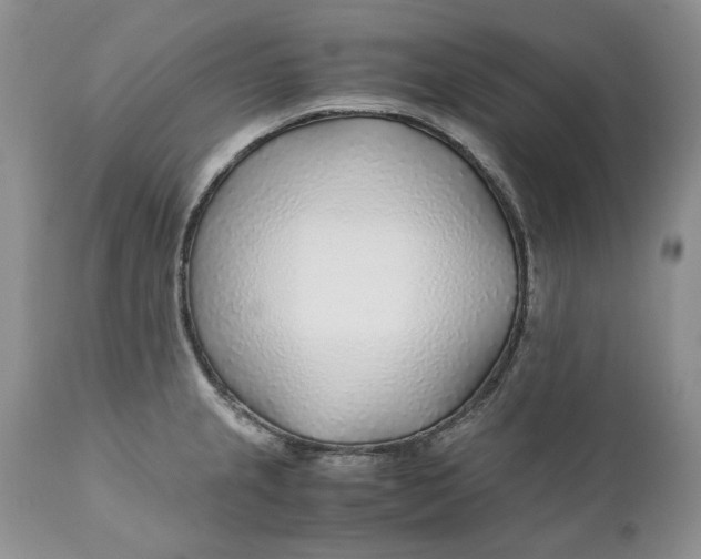 X0000110931237200907091513