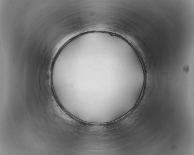 X0000110931238200907091513