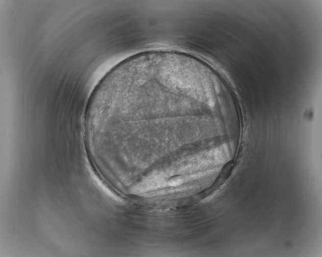 X0000110931239200907091513